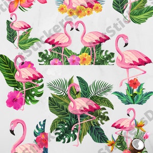 Flamingo SVG | Flamingo Clip Art | Pink Flamingo Vector | Flamingo Silhouette | Png Jpg Files | Circut Cut Files