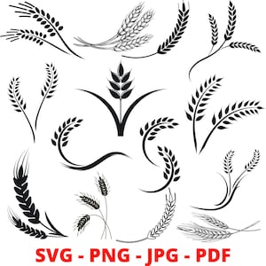 Tarwe SVG | Tarwe Cricut bestanden | Graan Svg | Tarwe Clipart | Bestanden knippen | Silhouet | Vector