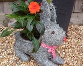 Cute brushwood wicker rabbit planter