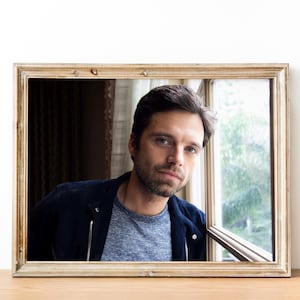 Sebastian Stan Poster, Wall Decor, Wall Art, Holiday Gift