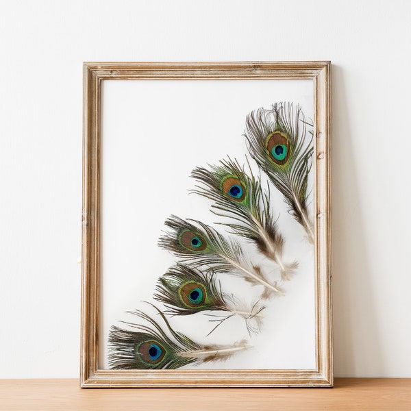 Peacock Feather Poster, Peafowl Wall Decor,  Wall Art