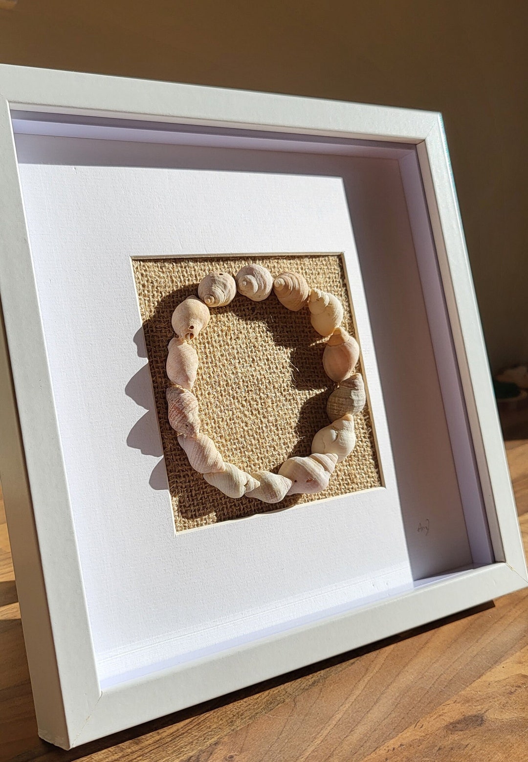 Seashell Circle With Burlap Backing Etsy