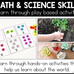 Math and Science Skills: Learn through play based activities. Learn through hands-on activities that help us learn about the world. First image shows flower counting cards, second image shows child planting flower, & third shows colored dyed flowers.