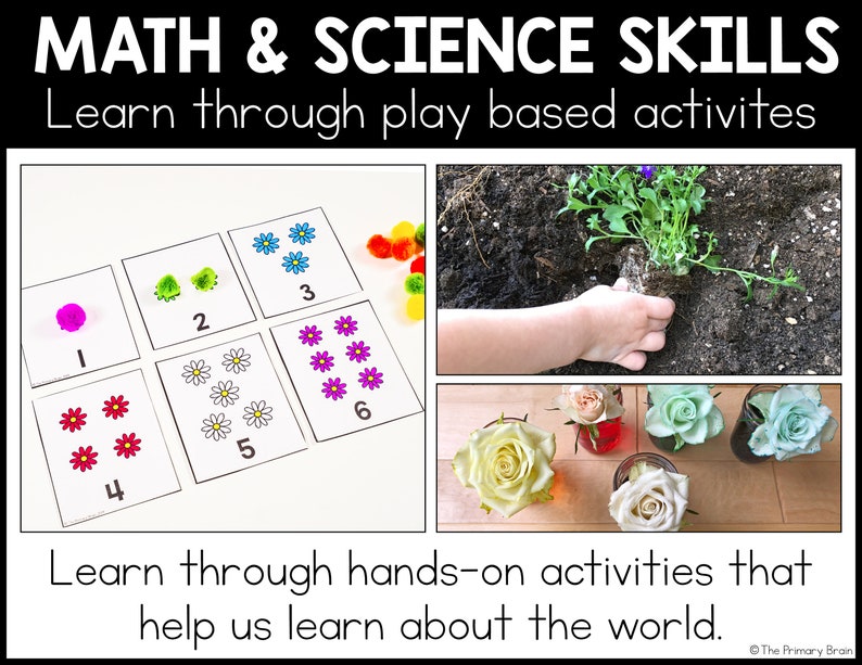 Math and Science Skills: Learn through play based activities. Learn through hands-on activities that help us learn about the world. First image shows flower counting cards, second image shows child planting flower, & third shows colored dyed flowers.