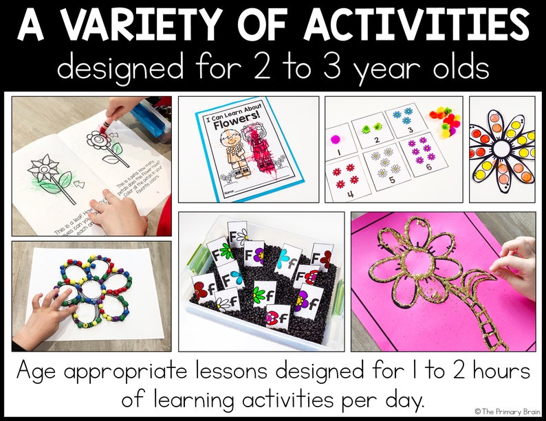 Title says: A variety of activities designed for 2 to 3 year olds. Age appropriate lessons designed for 1 to 2 hours of learning activities per day.