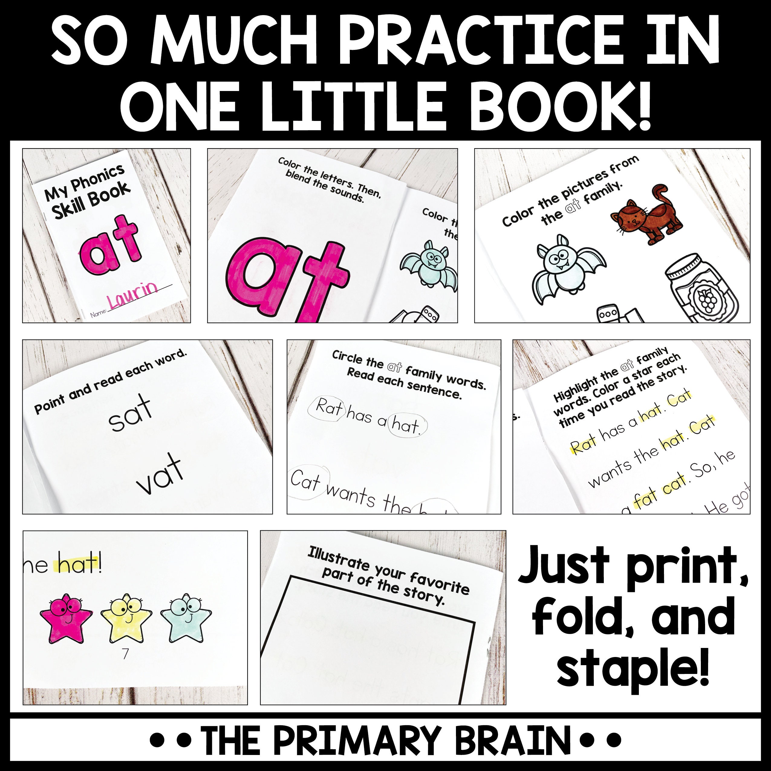 CVC Words Printable Books, Stories for Teaching Word Families ...