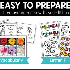 Easy to Prepare. Save time and do more with your little ones! Learn new skills through a theme. 8 jpeg images are shown of printable pages from the unit.