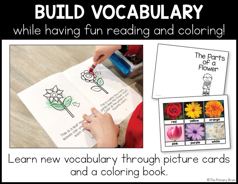 Build Vocabulary while having fun reading and coloring. Learn vocabulary through picture cards and a coloring book. Two images are shown of a Parts of a Flower book and a sheet of color words flower vocabulary cards.