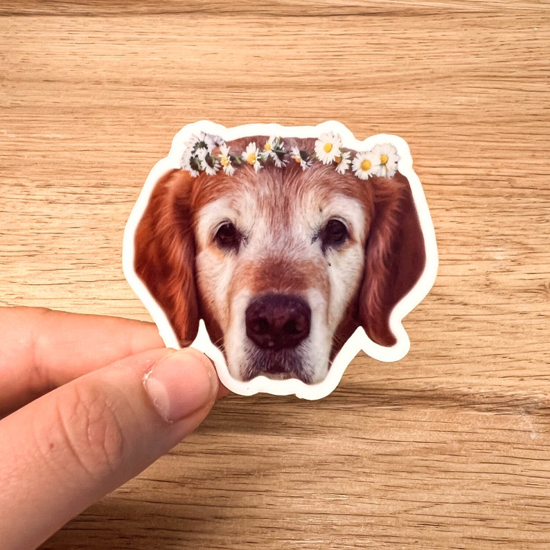 Personalized Pet Sticker / Custom Pet Stickers / Pet Photo Sticker / Pet Portrait Sticker / Matte Vinyl, Water-Resistant afbeelding 2