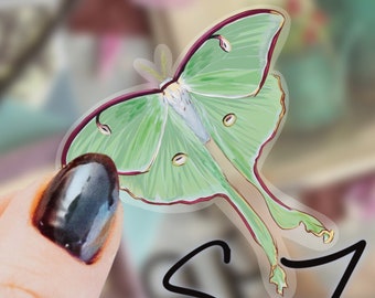 Hand Drawn Luna Moth Sticker - Nature-Inspired Decal for Laptops, Water Bottles, and More