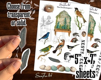 Vintage Bird Watcher Journal & Planner Sticker Sheets | Ornithologist Decorative Stickers | Nest and Eggs Illustration Scrapbooking Stickers