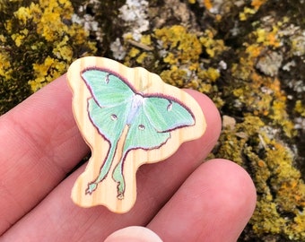 Beautiful Wooden Luna Moth Pin | Nature Themed gift for Moth Lovers | Insect Pin