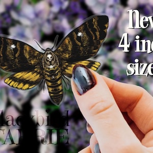 Death Head Hawkmoth Matte Vinyl Sticker | Moth Sticker For Laptop, Notebook, Phonecase, etc.