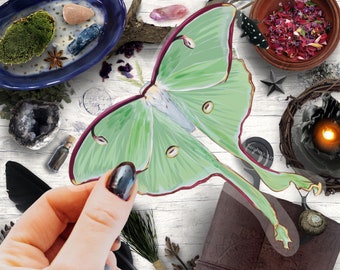 Luna Moth Clear Vinyl Sticker, Magic Moth Decal, Celestial Insect Waterproof sticker, witchy cottagecore journal decor, Moon Moth gift