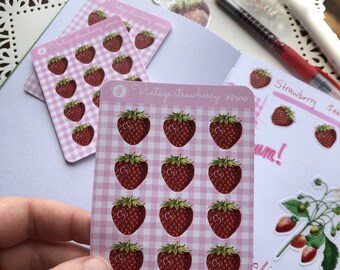 Vintage Strawberry Planner Sticker Sheet P100
