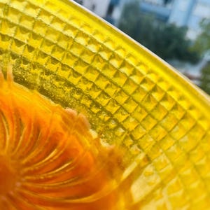 Macro of the bowl wall in daylight, rows of small moulded pyramids in sharp focus with orange fan ridges below and blurred trees behind.