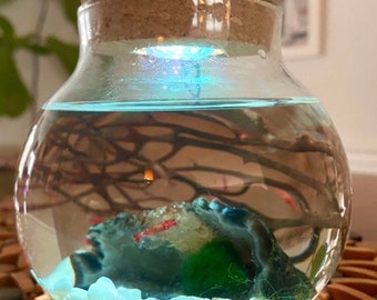 Color changing Shrimp Ecosphere with Geode Night Light