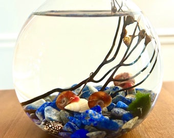 Custom Snail Ecosystem with Lapis Lazuli Gemstones