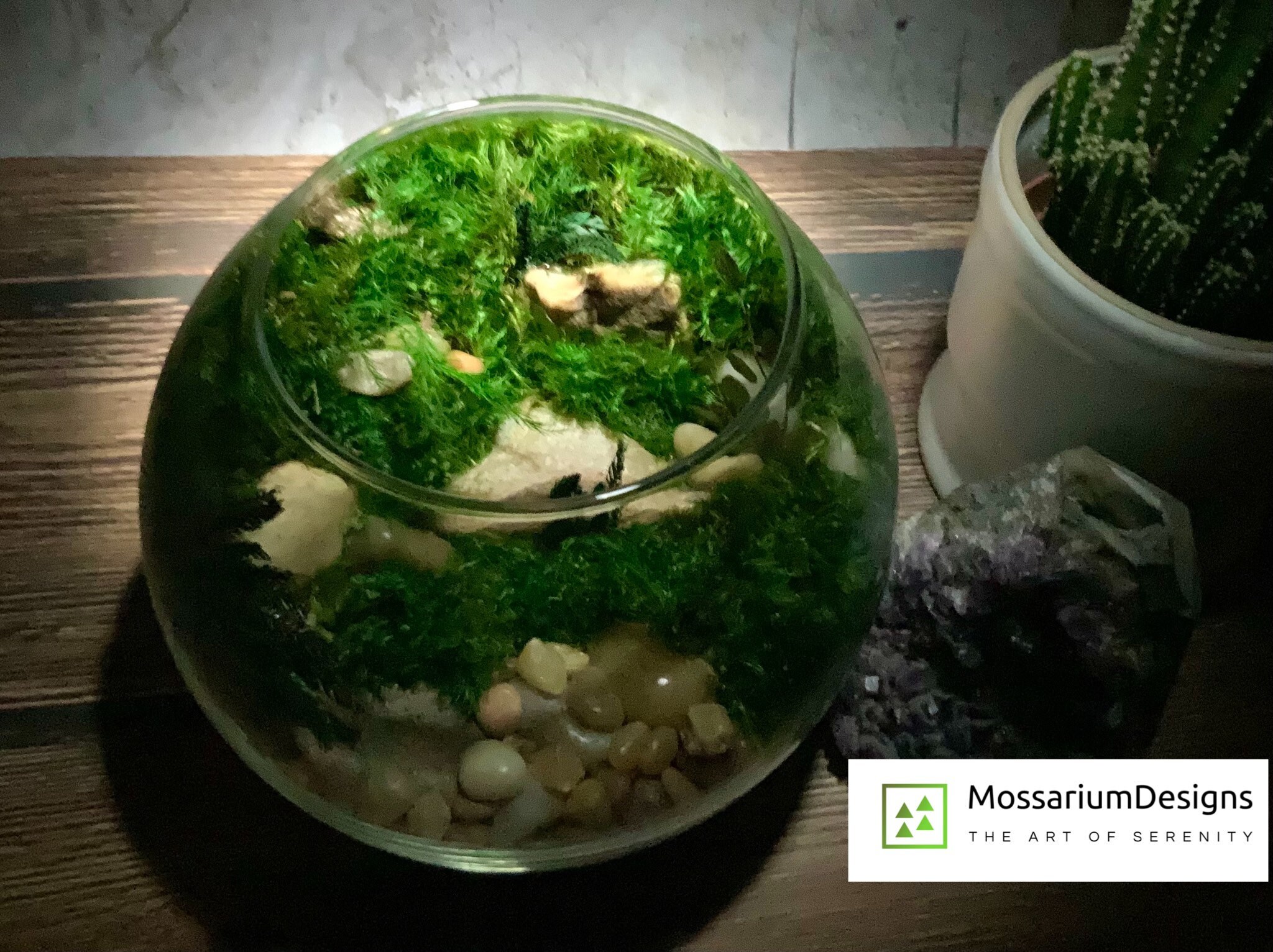 Garden Globe Premium konserviertes Moos terrarium 5