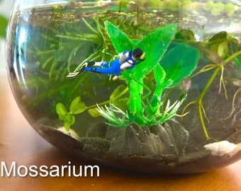 Color-Changing Scubadiver Planted Terrarium Aquarium with Shrimp, Guppies or Snails
