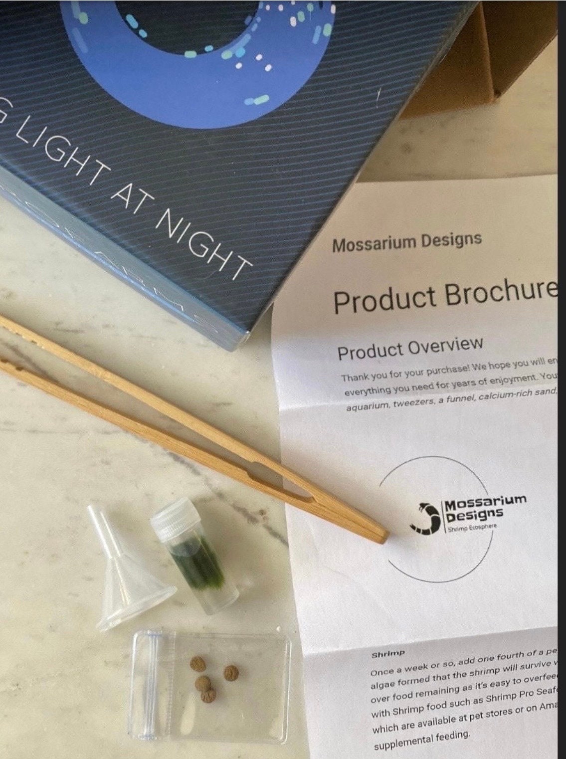 Custom Planted Snail Ecosphere With Nerite Snails Etsy