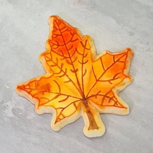 May include: A hand-painted sugar cookie in the shape of a maple leaf. The cookie is decorated with orange and yellow icing to resemble the colors of autumn leaves.