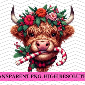 Hooglandkoe, schattige kerst hooglandkoe, DTF-overdracht, sublimatieoverdracht, hoge resolutie, transparante achtergrond