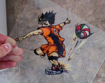 Nishinoya pie salvar la pintura de vidrio