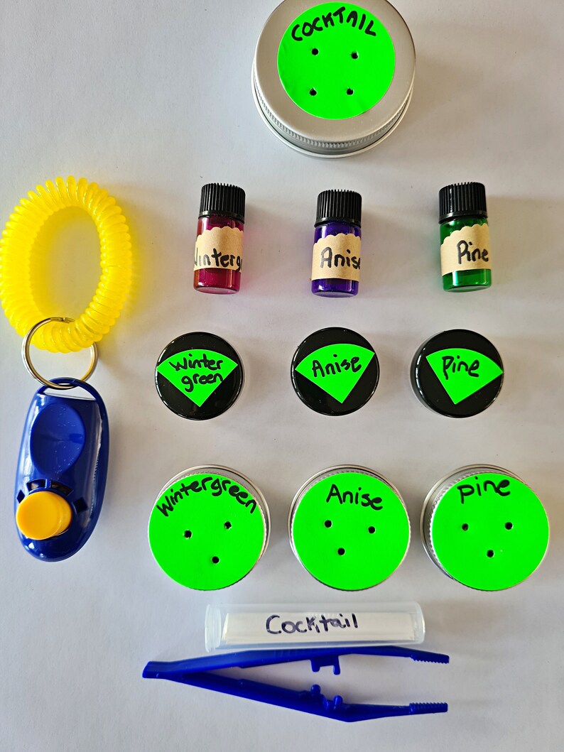 Dog Nosework Scent Kit Etsy UK