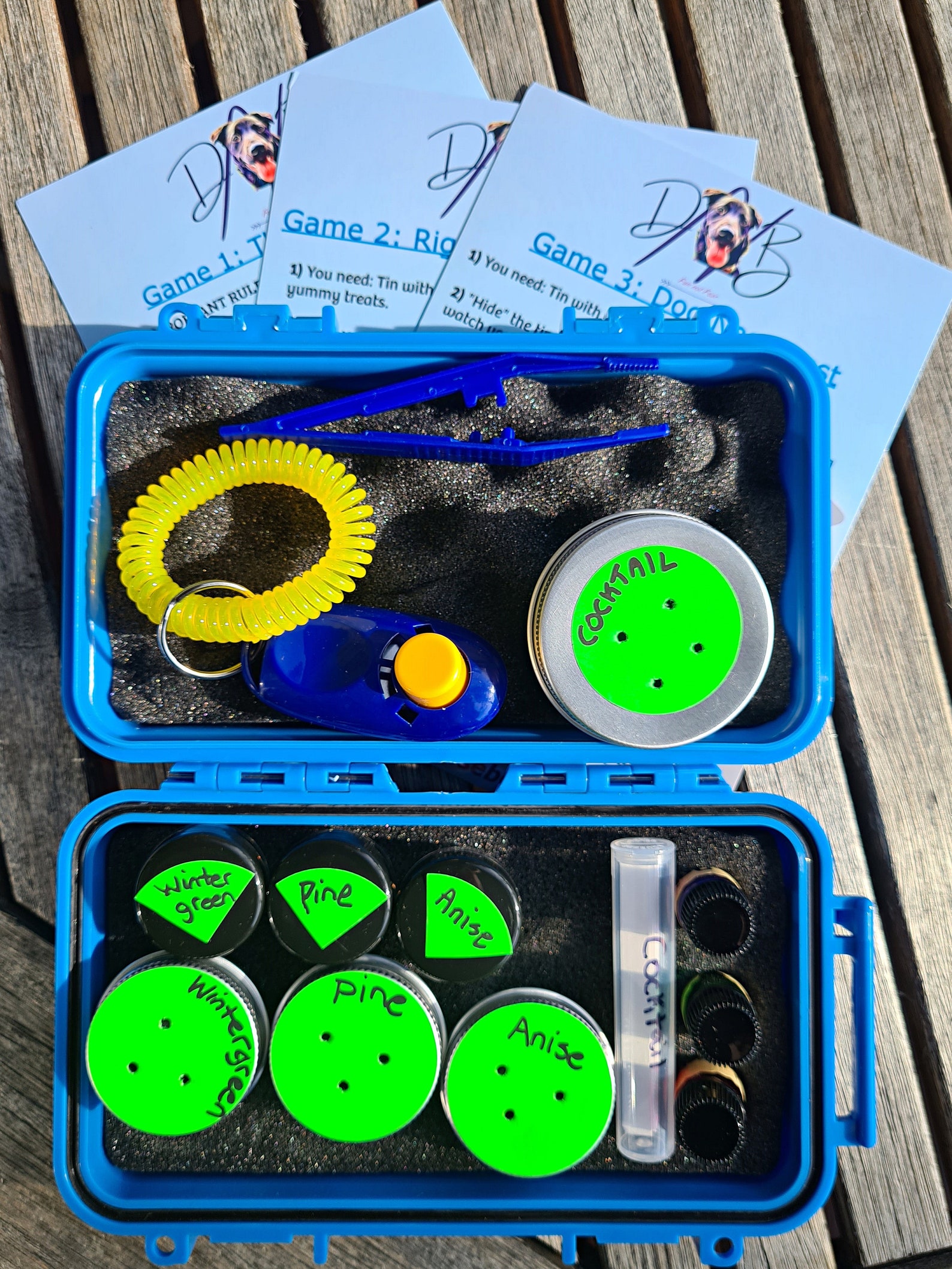 Dog Nosework Scent Kit Etsy UK