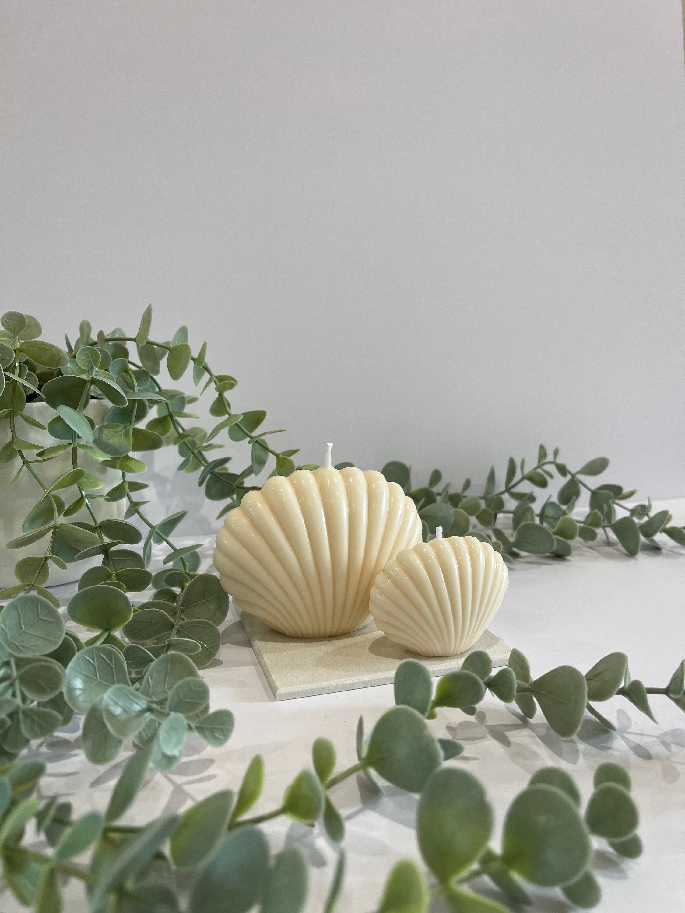 Shell Candle Etsy