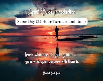 Spirit Guide Meeting with one guide, Name and Description of one of your spirit guides. Answered within 24 hours