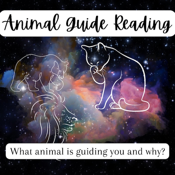 SAME HOUR: Animal Guide Reading, who is your spirit animal? What animal energy is guiding you now?