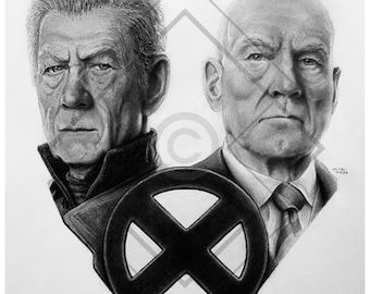 PRINT Magneto en Professor Xavier