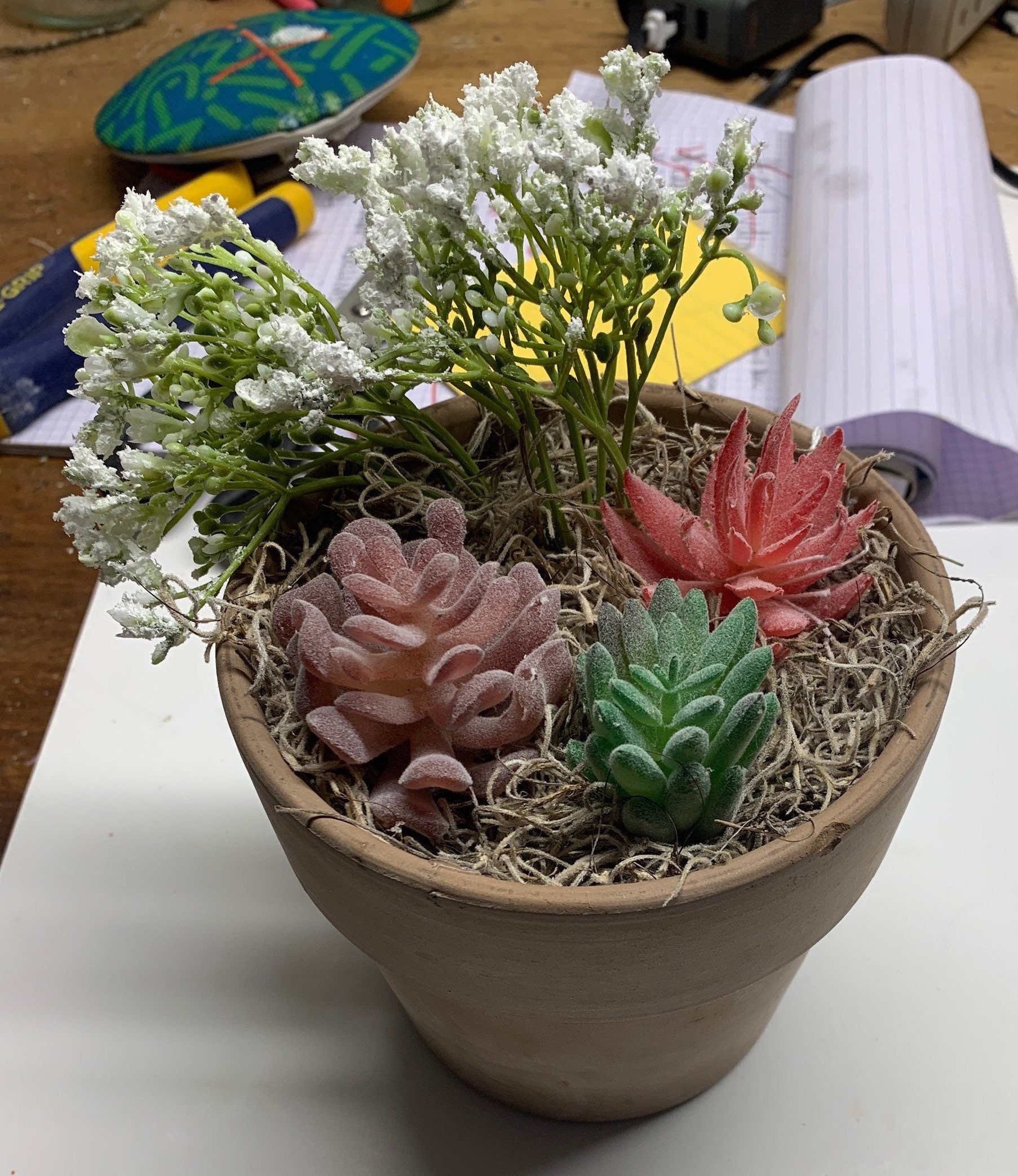4 inch clay succulent pot Etsy