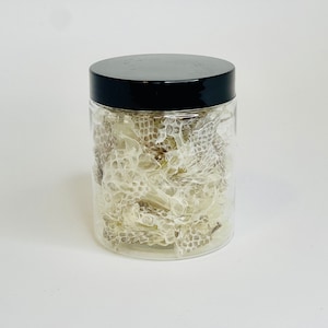 May include: A clear glass jar with a black lid filled with white snake skins.