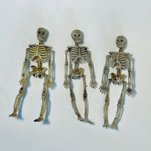 May include: Three plastic skeletons with articulated limbs and rib cages are displayed against a white background. The skeletons are a beige color, with visible details of the skull, spine, and pelvis. The skeletons are posed in a standing position.