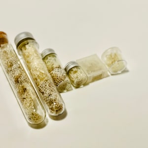 May include: A collection of six glass vials with cork and metal lids, filled with dried, white, honeycomb-like material. The vials are arranged in a descending size order, with the largest vial on the left and the smallest on the right.