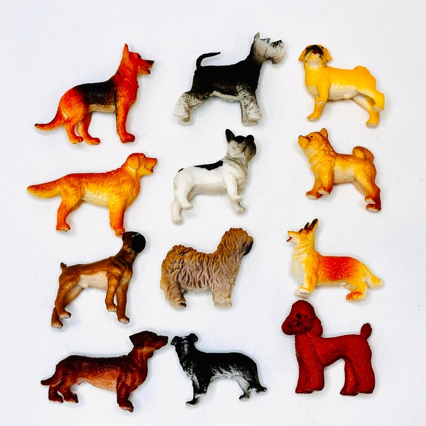 Miniature Dogs & Puppies | Retriever, Airedale, Pug, Poodle, Shepherd, Dachshund, Boxer, Akita, French Bulldog, Corgi, Sheep Dog