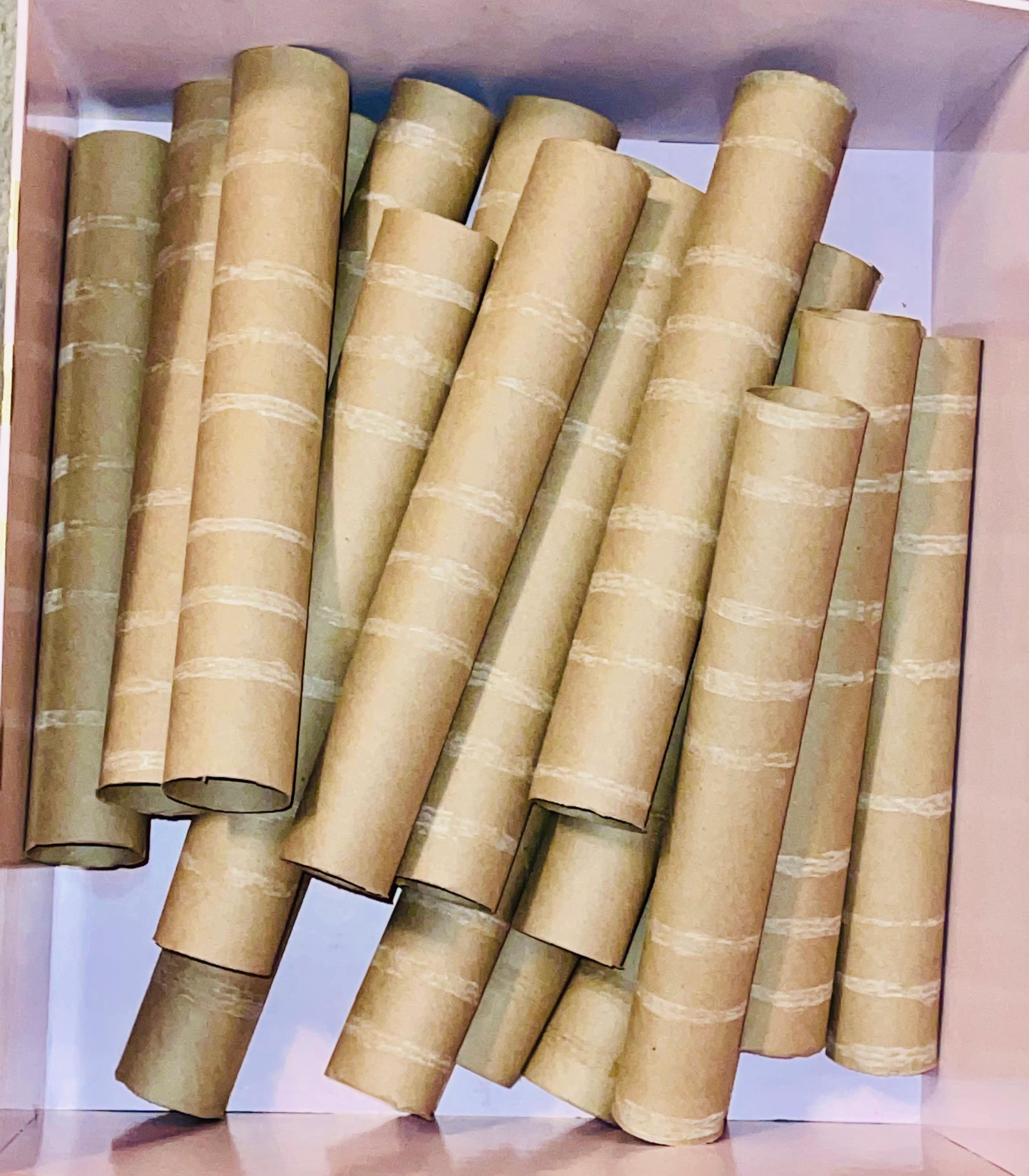 Paper Towel Rolls for Crafting | Paper Tubes, Toilet Paper Rolls, Toiler  Paper Tubes, Cardboard Rolls, Cardboard Tubes, Craft Supplies