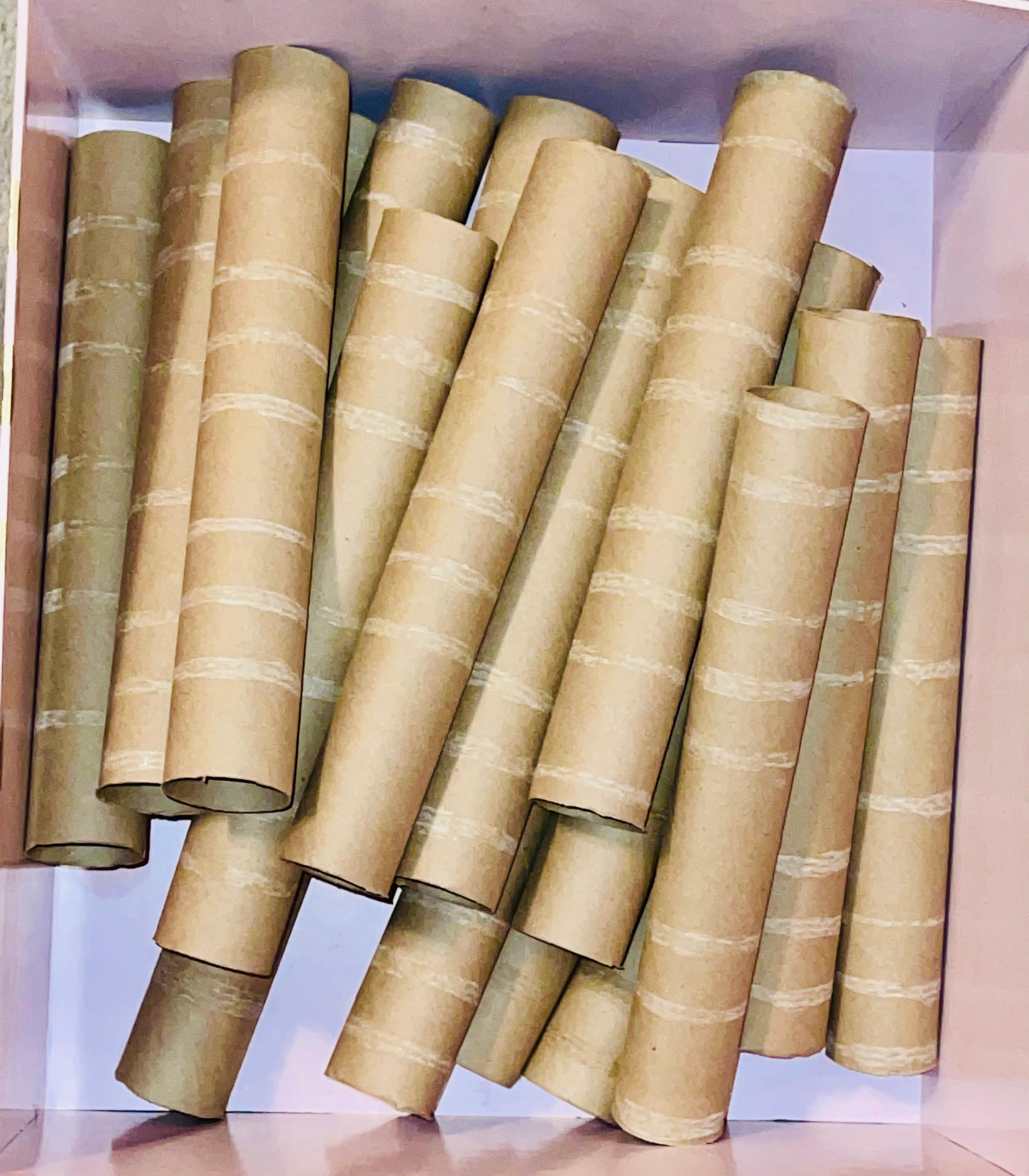Paper Towel Rolls for Crafting Paper Tubes Toilet Paper Rolls Toiler Paper Tubes Cardboard Rolls Cardboard Tubes Craft Supplies