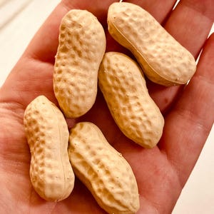 Realistic Artificial/Faux Peanuts - Set of 5
