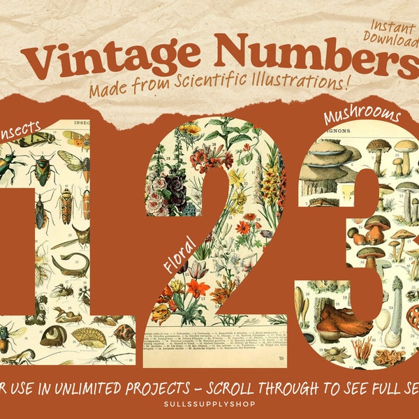 Cottagecore Numbers Etsy Cottagecore Numbers Etsy