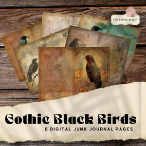 Raven Junk Journal Pages for Stationery | Printable Blackbird Journal | Witch Decor | Gothic Bird Ephemera Printable Kit | Halloween