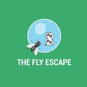 The Fly Escape