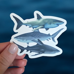 Pegatina de vinilo de tiburones