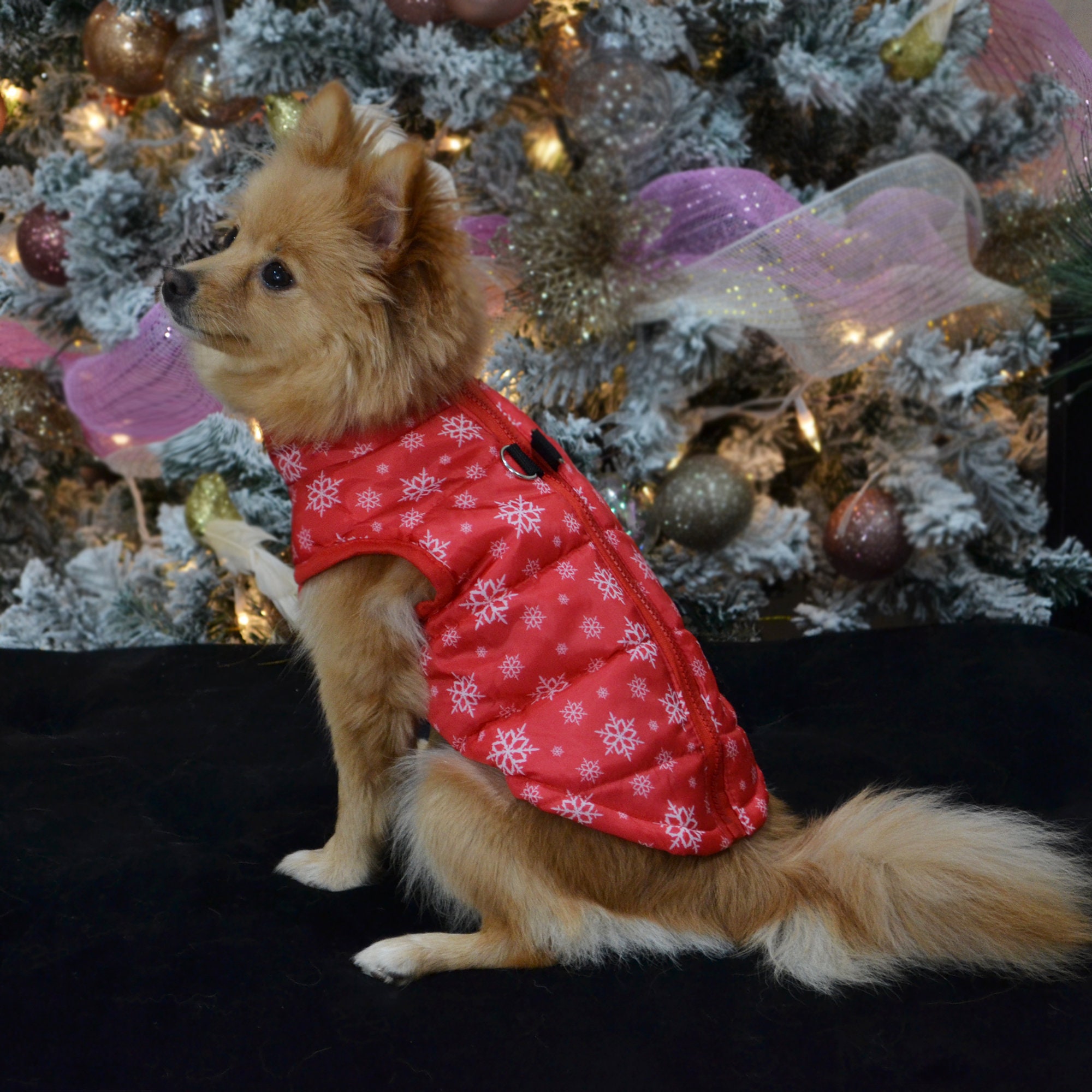 Small Dog Vest Jacket Raincoat / Winter Fall Red Dog Vest / Etsy