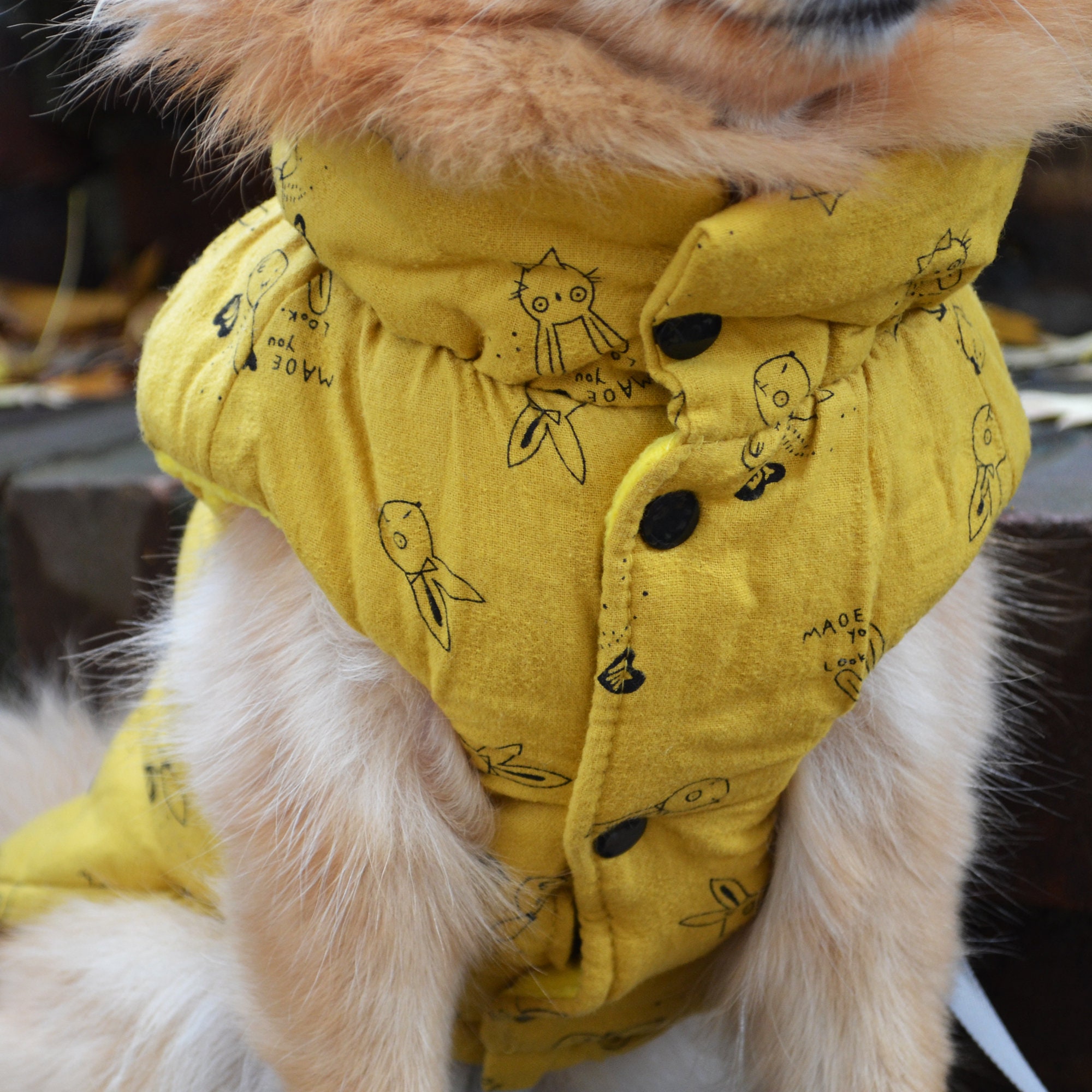 Small Dog Coat Yellow Dog Jacket Dog Sweater Fall Dog Etsy