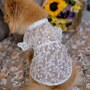 Spring Summer Floral Lace Breathable Sun-Proof White Dress for Dog and Cat / Dog dress / Cat dress image 2