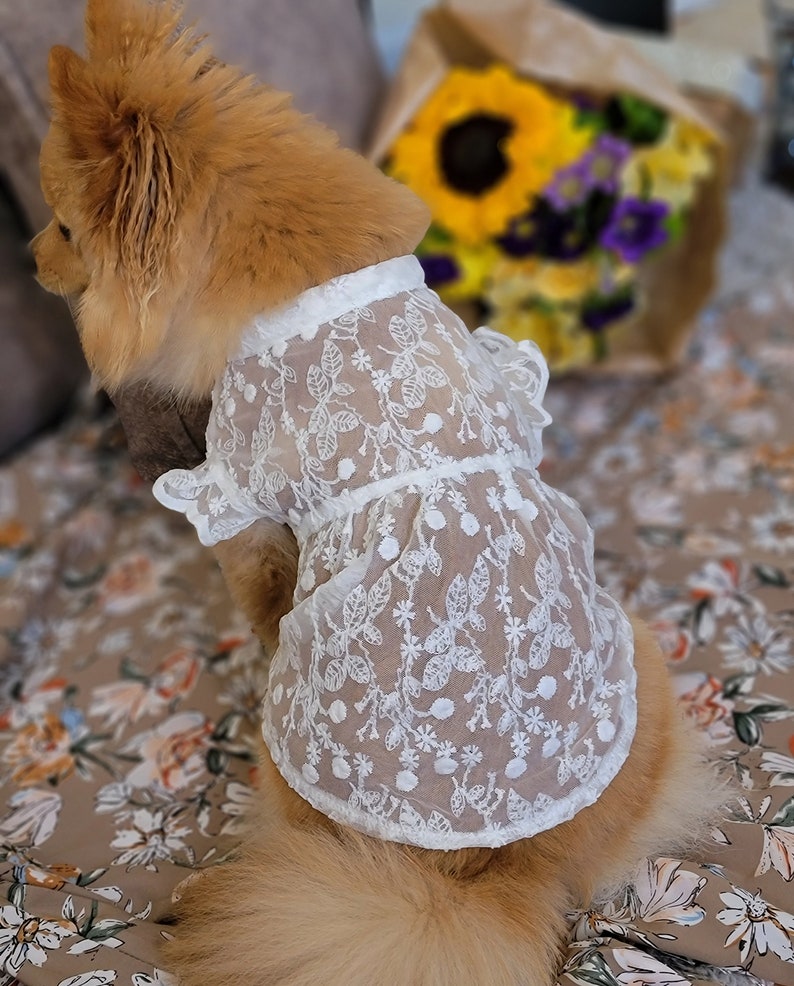 Spring Summer Floral Lace Breathable Sun-Proof White Dress for Dog and Cat / Dog dress / Cat dress image 2